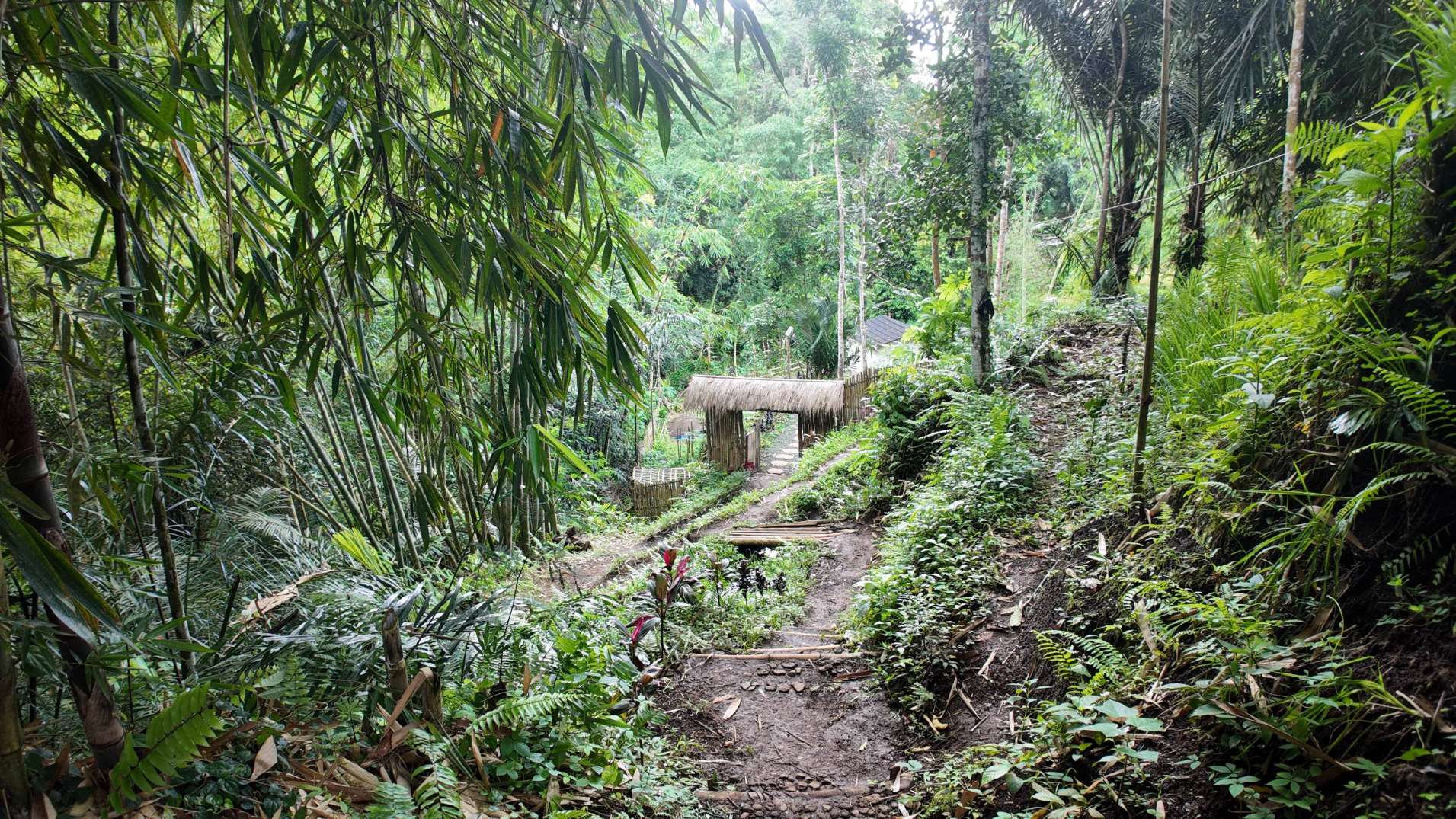 Chemin forestier à Tetebatu, entre bambous et végétation dense, symbole des différentes phases d’une vie en mouvement.