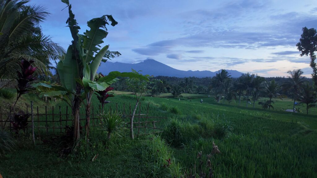 Rizières de Tetebatu avec la montagne bleutée à l’horizon, un paysage calme et inspirant pour imaginer un refuge en altitude