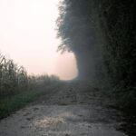 Chemin de terre menant vers une lumière dorée au loin, symbole de clarté et d’appel intérieur