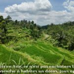 Rizières en terrasse à Lombok en Indonésie, cadre de vie quotidien pour un séjour de 6 mois en Asie du Sud-Est