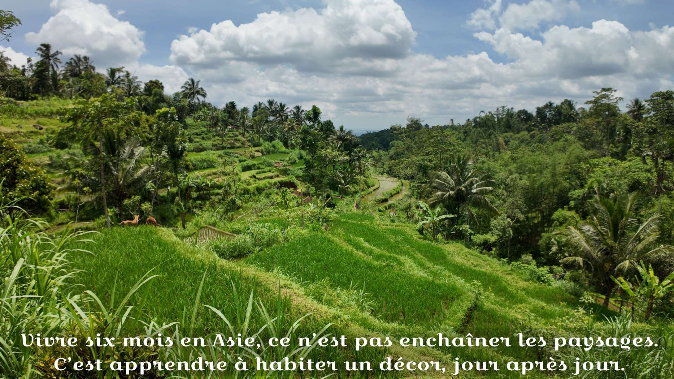 Rizières en terrasse à Lombok en Indonésie, cadre de vie quotidien pour un séjour de 6 mois en Asie du Sud-Est