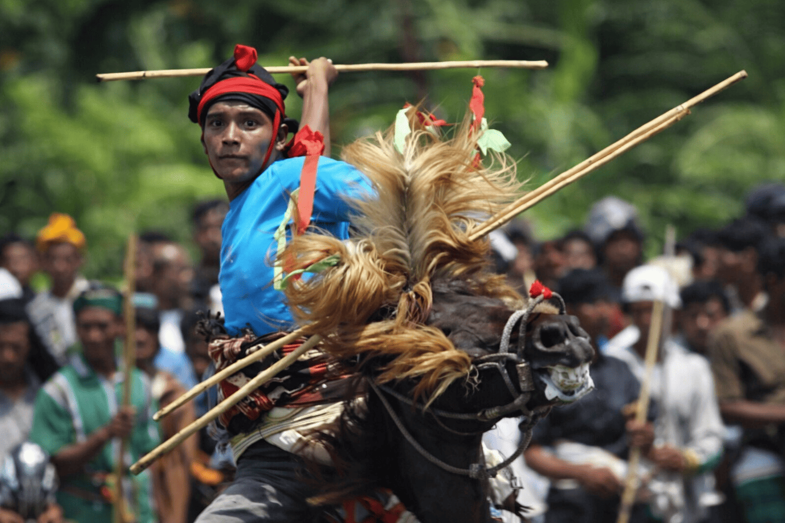 Festival Pasola à Sumba : Dates, villages et guide complet