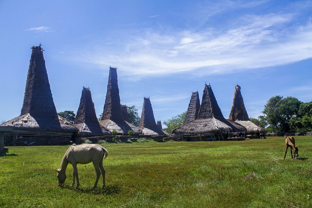 Village traditionnel de Ratenggaro avec maisons aux toits Marapu et chevaux à Sumba