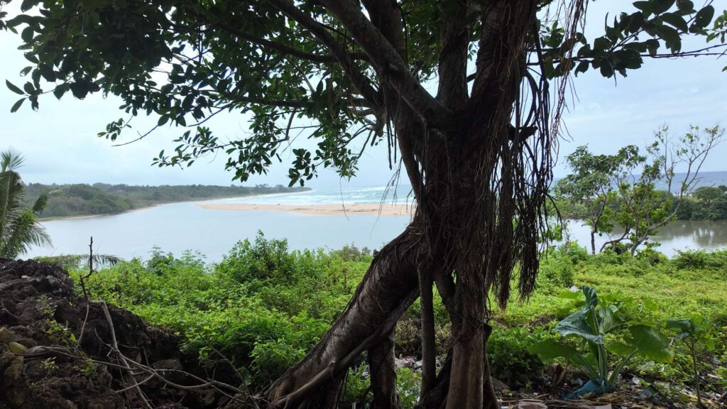 Vue sur la plage et l’embouchure de la rivière Waiha près de Ratenggaro à Sumba