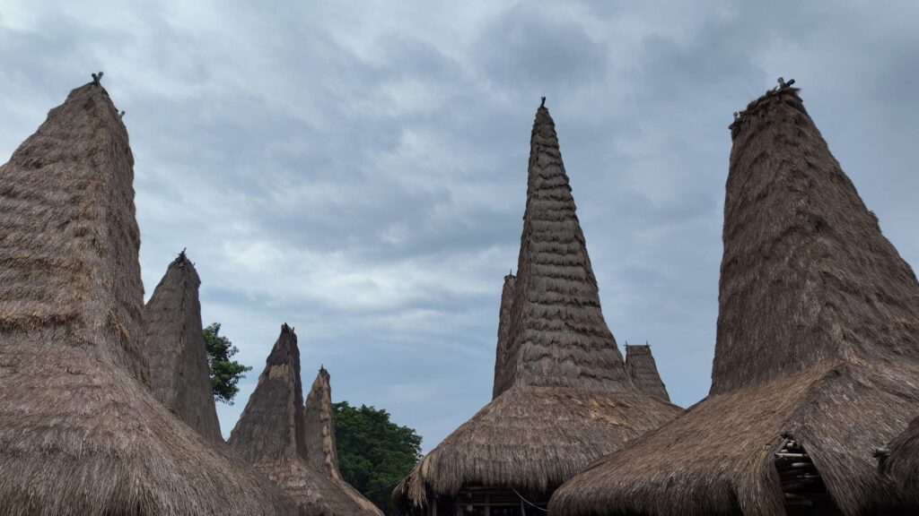 Toits Marapu des maisons traditionnelles du village de Ratenggaro sur l’île de Sumba
