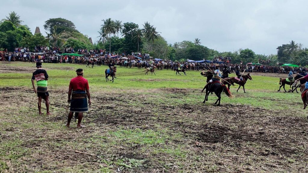 Vue d'ensemble du Pasola de Ratenggaro avec cavaliers en action et foule locale, Sumba, mars 2026