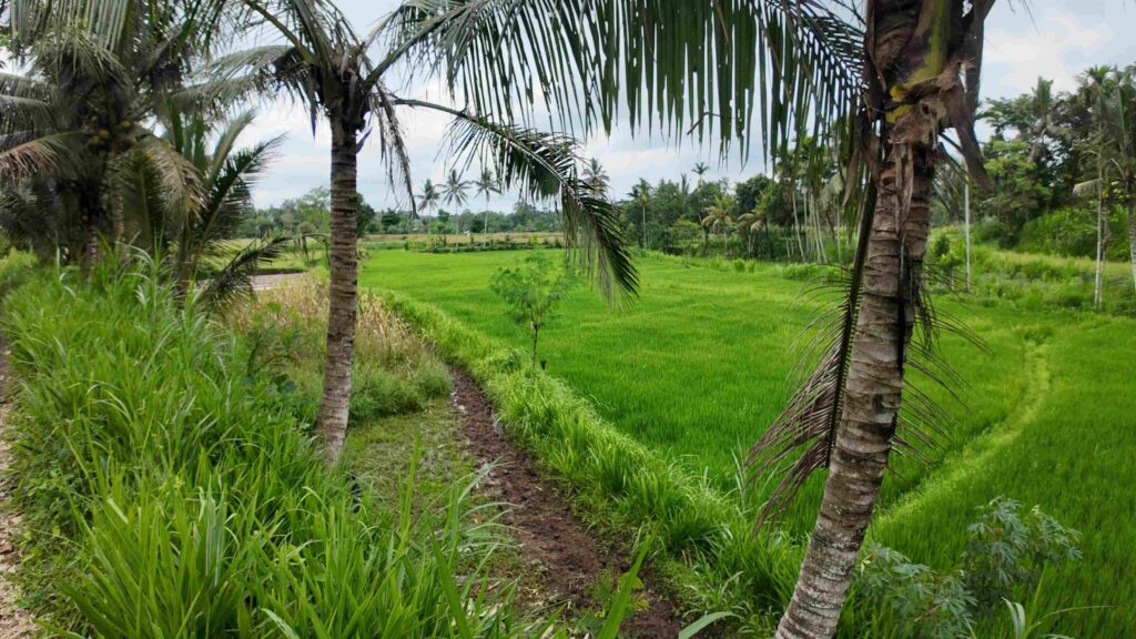 campagne lombok villages reliefs ruraux nature indonésie