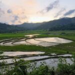 rizières lombok eau reliefs paysage rural indonésie