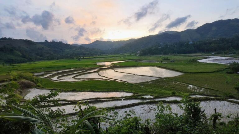 Lombok : Guide et expérience terrain