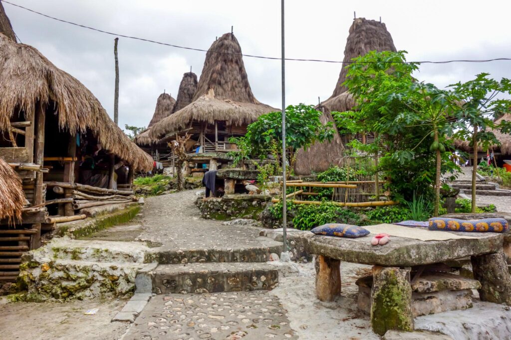 village traditionnel sumba maisons locales immersion indonésie