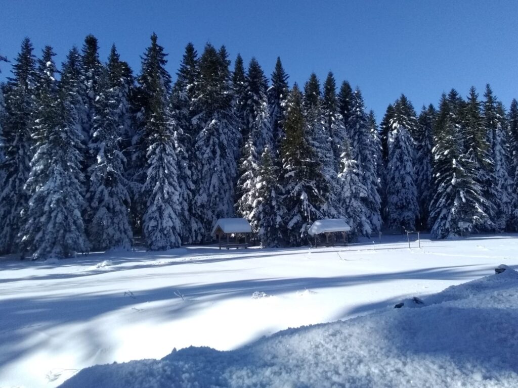 Paysage enneigé et silencieux sur le chemin de pèlerinage d’Emmanuel