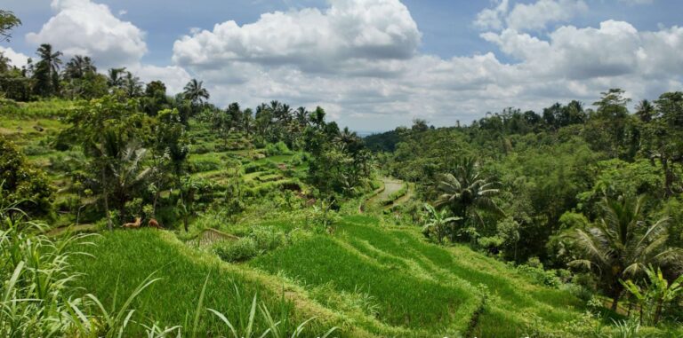 6 Months in Asia: Budget, Visas, Itinerary and the Reality on the Ground