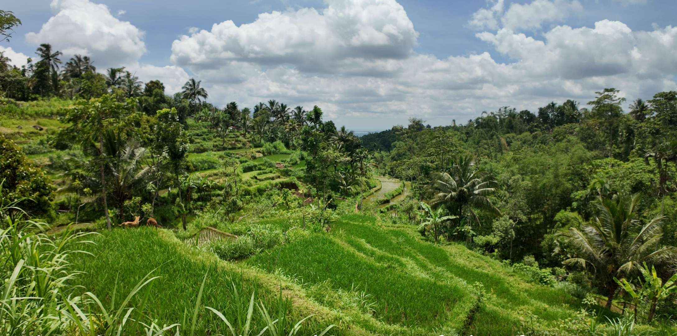 6 Months in Asia: Budget, Visas, Itinerary and the Reality on the Ground